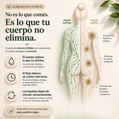 D’RENAE® | 60 Cápsulas de Drenaje Linfático